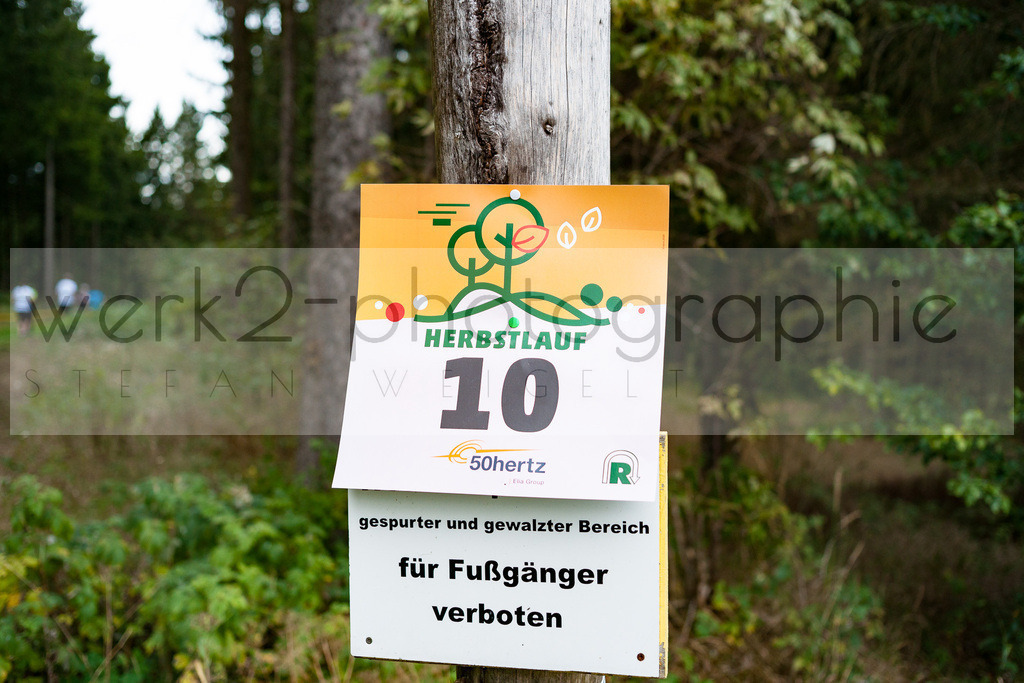 Herbstlauf | Neuhaus/Rwg. - Masserberg am 3. Oktober 2020