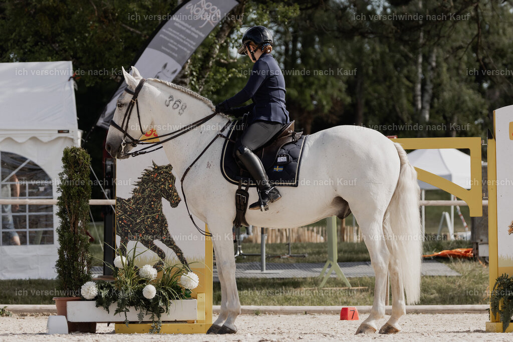 WE_ST_Stoib_328_PI2025_864 | Pferd International München 2025