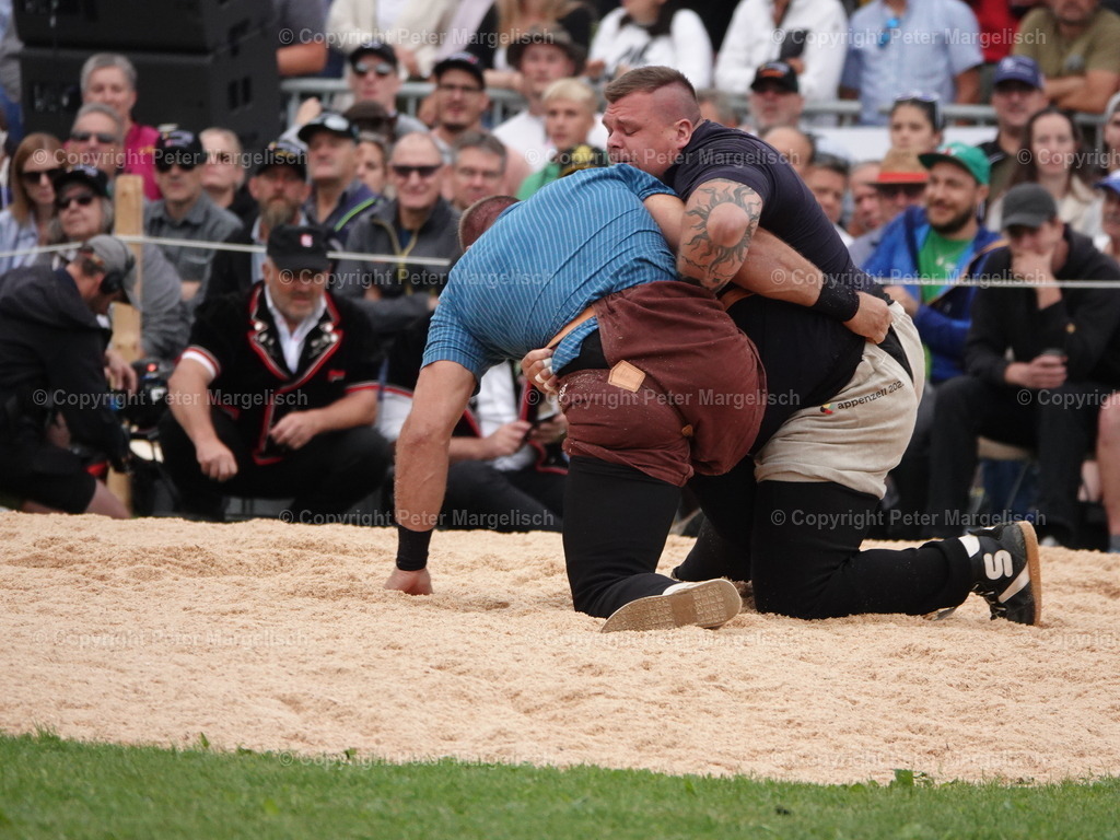 DSC08328 | Schwingen - Realized with Pictrs.com