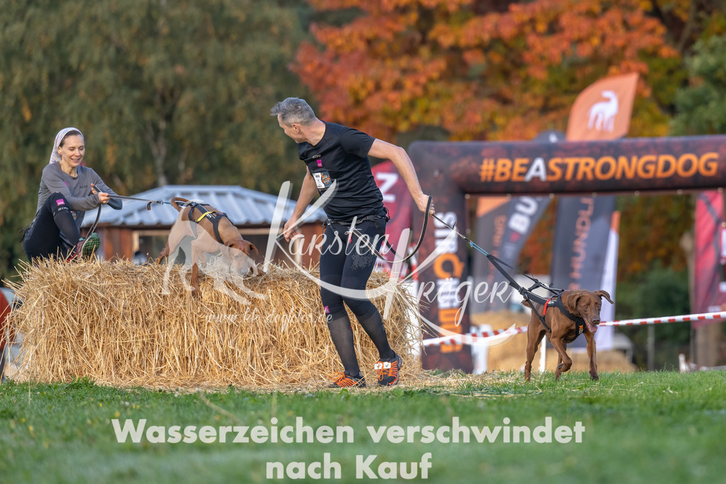 0856_ZZ91747-Bearbeitet | kk-dogfotos