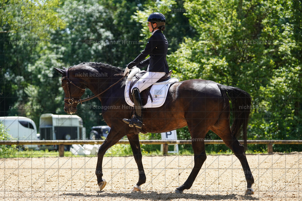 20240705-FAH04116 | Turnierbilder von Grafing, Reitsportbilder, Turnierfotos, Turnierfotografen Bayern, Pferdefotograf, Fotoagentur Herrmann