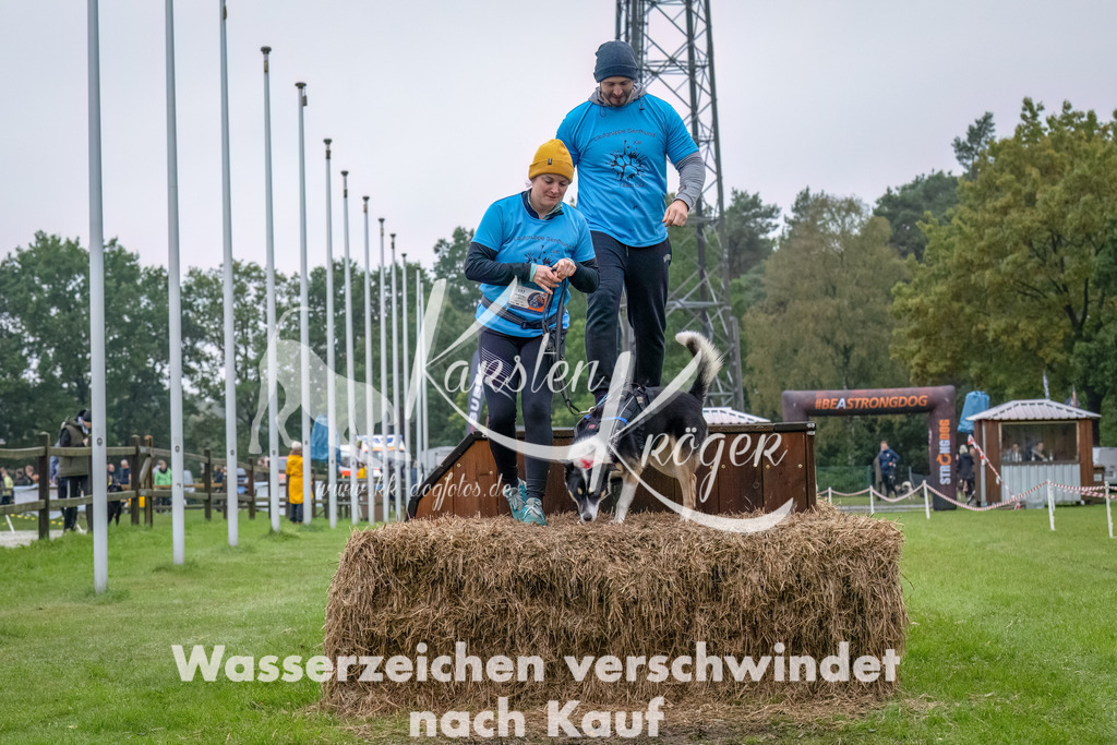 1219--7 | kk-dogfotos