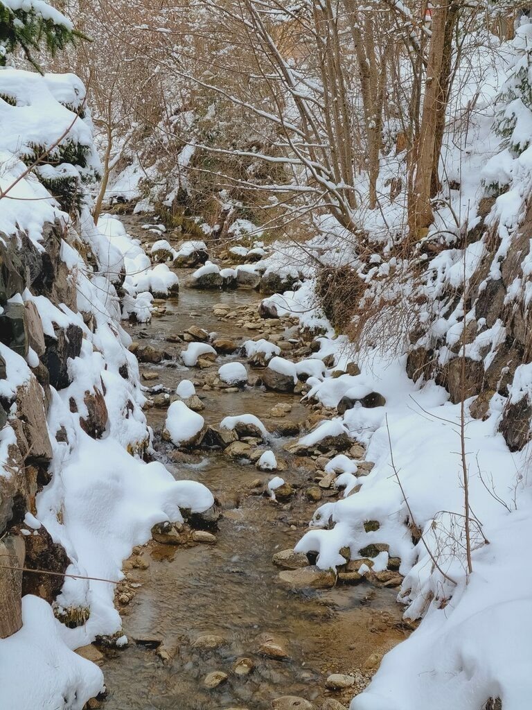 PSX_20220403_193355 | mtkfoto_ - Realisiert mit Pictrs.com