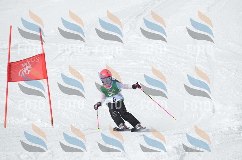 D8480 | holidayphoto