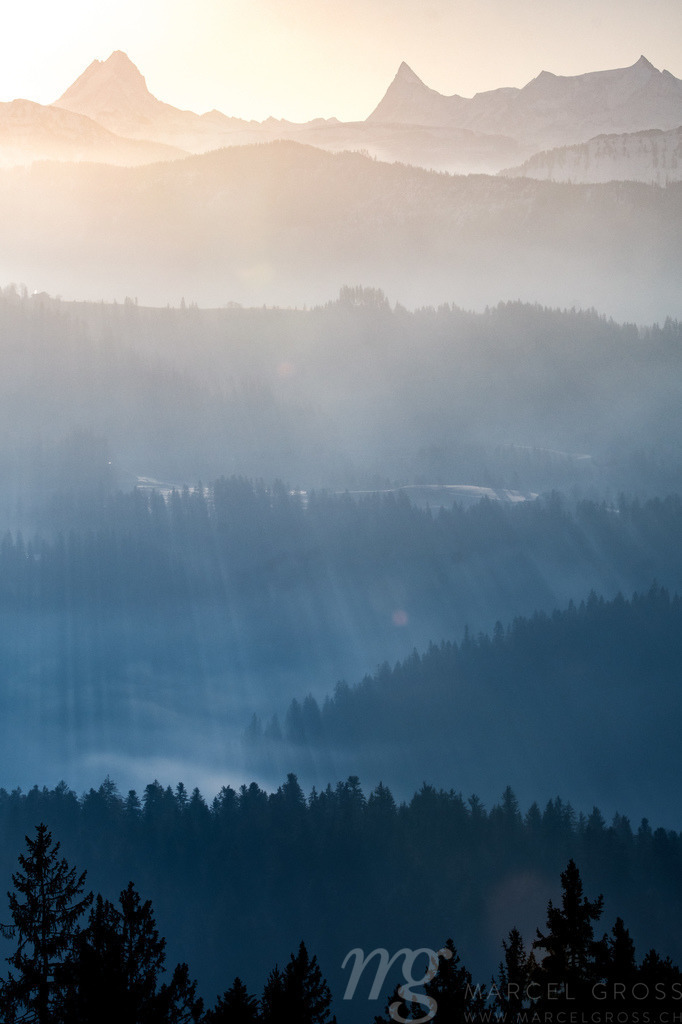 morning light on Schreckhorn and Finsteraarhorn in the Bernese Alps with the hills of Emmental in front | Die ideale Geschenkidee für Naturliebhaber. Naturbilder von Marcel Gross Photography für ihr Zuhause in den verschiedensten Formaten und Materialien. - Realisiert mit Pictrs.com
