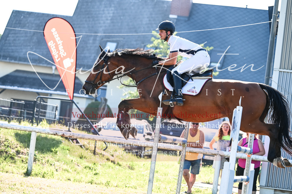 DSC_2680 | Pferde- und Turnierfotografie in Westsachsen. Pferdeportraits, Auftragszeichnungen und intuitive Kunst.