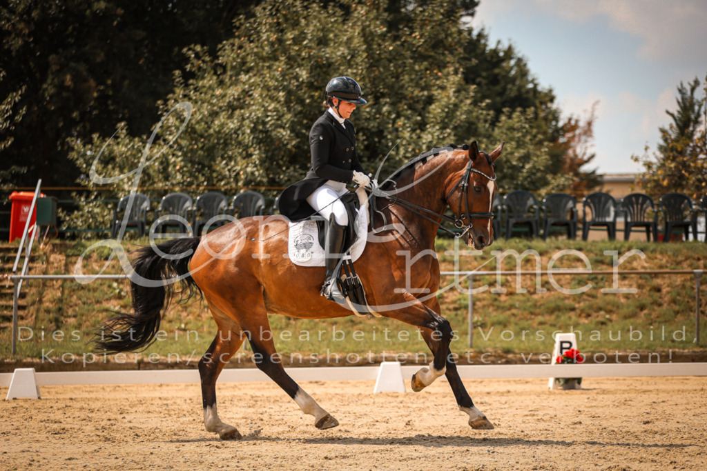 19.FrDrS00223 | Leoni Ertmer Photography - Realisiert mit Pictrs.com