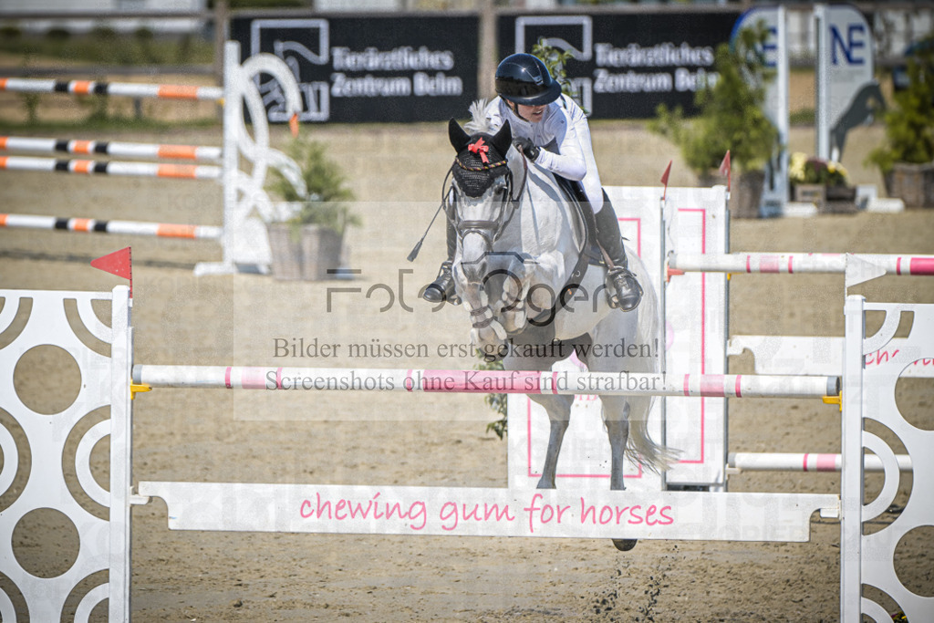 DOS_2297 | Entdecke hochwertige Reitturnierfotos von Foto Oger. Professionell, emotional und authentisch – jetzt Lieblingsmomente im Shop bestellen.Deutschlandweite Turnierfotografie. - Realisiert mit Pictrs.com
