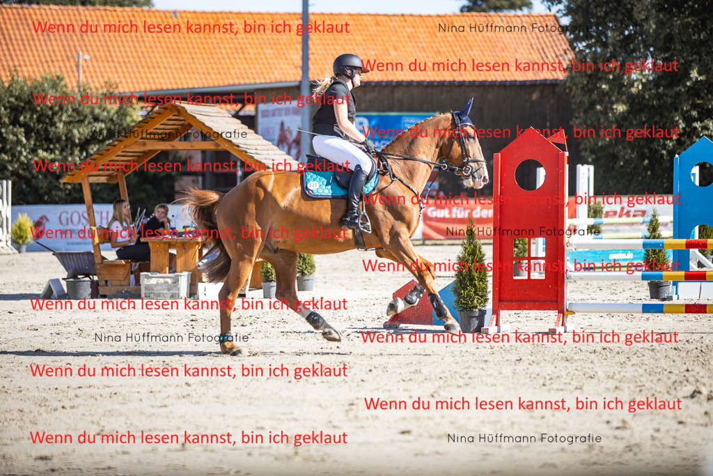 BK1A7194 | Turnierbilder Turnierfotos Nina Hüffmann Turnierfotografie Pferdefotografie Tierzeichnung Haustierzeichnung Pferdezeichnung Hundezeichnung Videograf  - Realisiert mit Pictrs.com