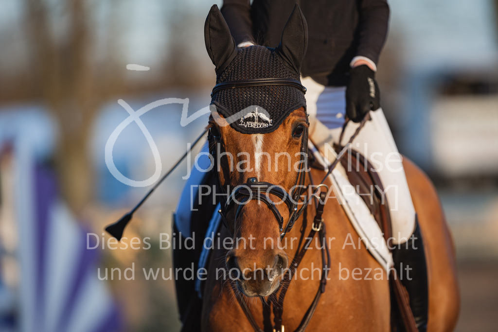 230411_Mühlen_YoungsterM-629 | Deine schönsten Turniermomente als professionelle Fotos! Entdecke hochwertige Pferdesport-Fotografie im Online-Shop. Jetzt Fotos finden & bestellen!