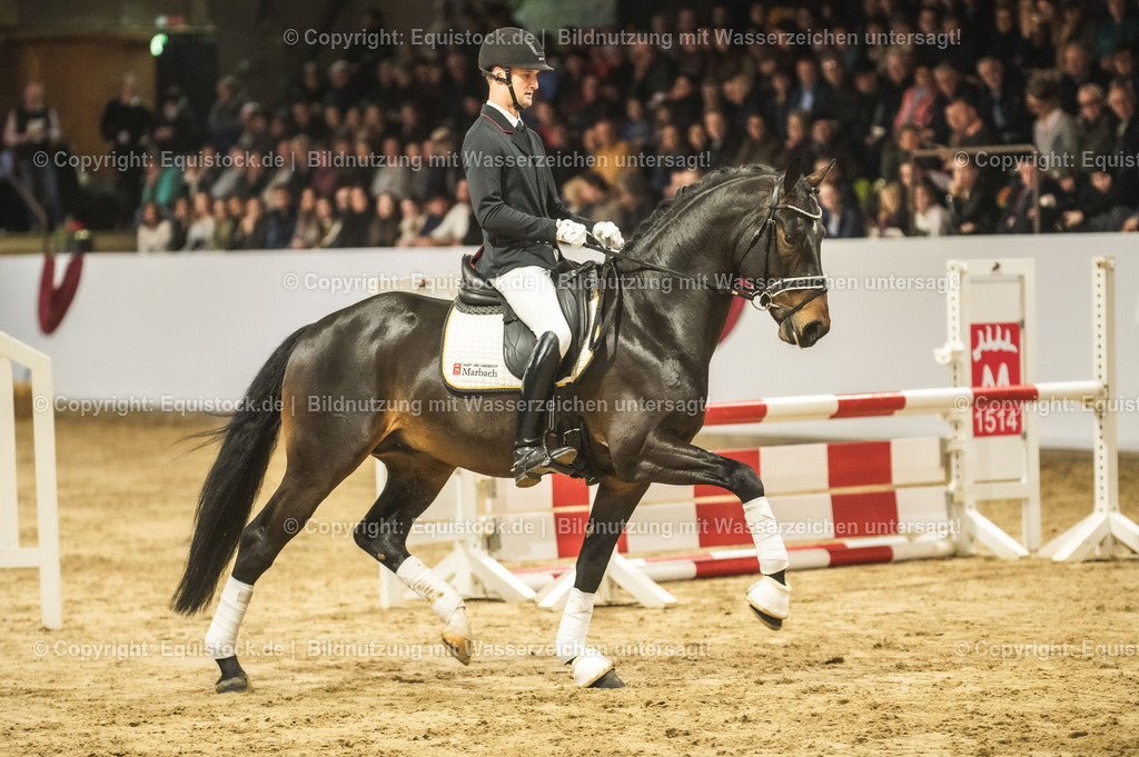 20240302_Hengstvorstellung_Marbach_TOMsPiC_0426 | equistock