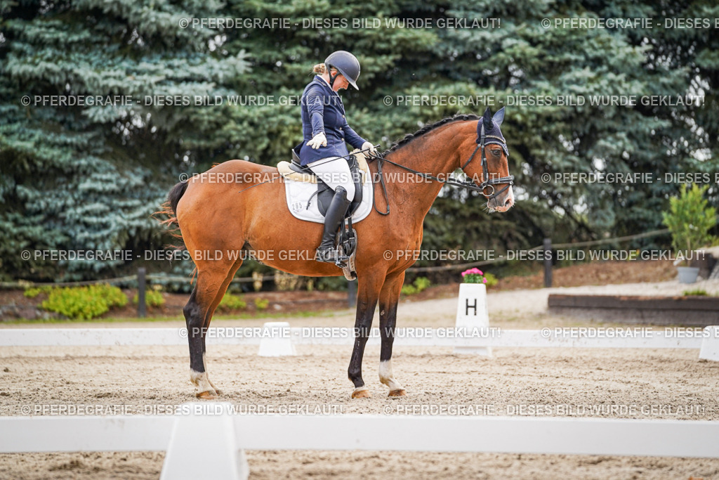 DSC02289 | Pferdegrafie