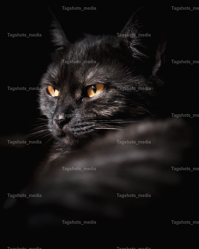 A7309979 | tagshotsmedia - Realisiert mit Pictrs.com
