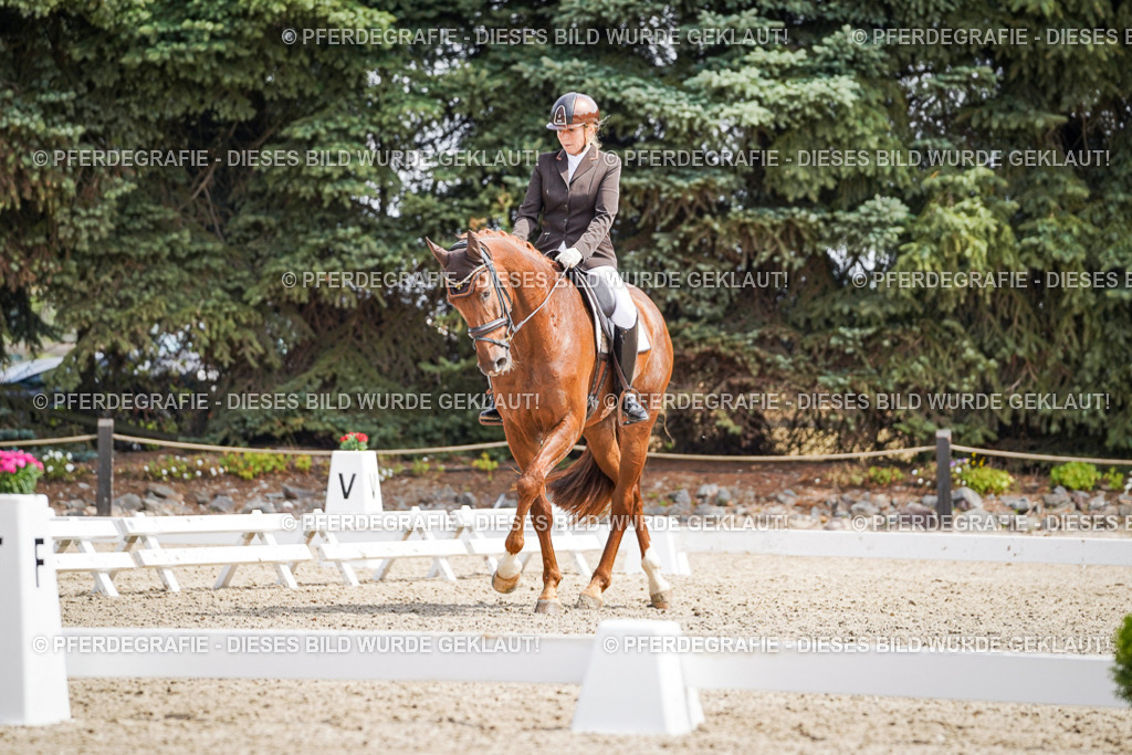 DSC09875 | Pferdegrafie