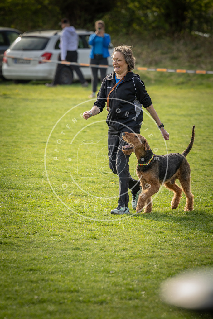 Pfotenfotografie_DV3A4837 | Hundefotografie, Tierfotograf, Pfotenfotografie, Fotoshooting Hund, Hunde Portrait, Hundesport, Hundeportraits, Heideshooting, Hunde, Sportfotograf, Hundefotograf, Turnierhundsport, THS,  - Realisiert mit Pictrs.com