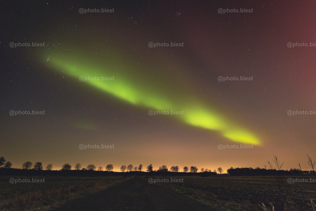 IMGC9471 | photobiest - Realisiert mit Pictrs.com