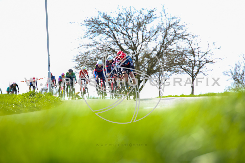 ..... | LEONDING,AUSTRIA,24.März.24 - 63.Radsaisoneröffnungsrennen Leonding Road Cycling League , Image shows: 
Photo: WAPICS / Andreas Willdoner