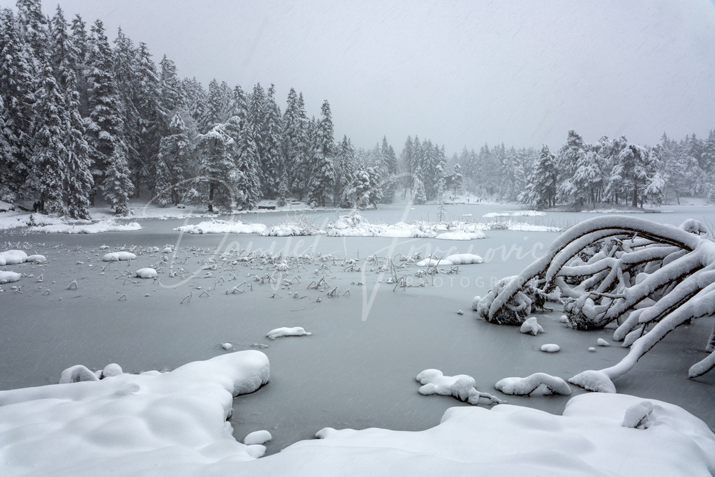 Möserer See | winter wonderland am Möserer See