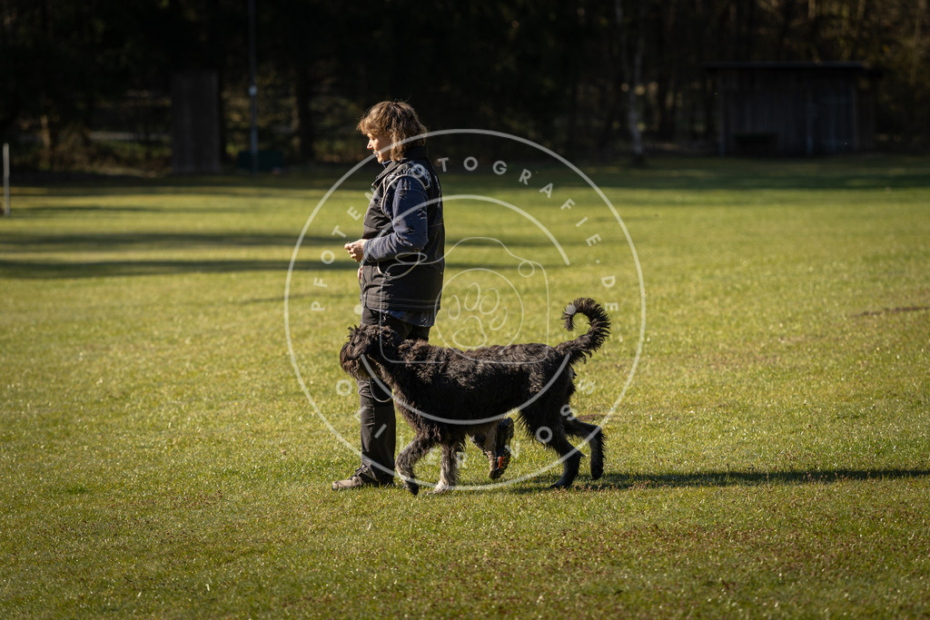 Pfotenfotografie_DV3A0074 | Hundefotografie, Tierfotograf, Pfotenfotografie, Fotoshooting Hund, Hunde Portrait, Hundesport, Hundeportraits, Heideshooting, Hunde, Sportfotograf, Hundefotograf, Turnierhundsport, THS,  - Realisiert mit Pictrs.com