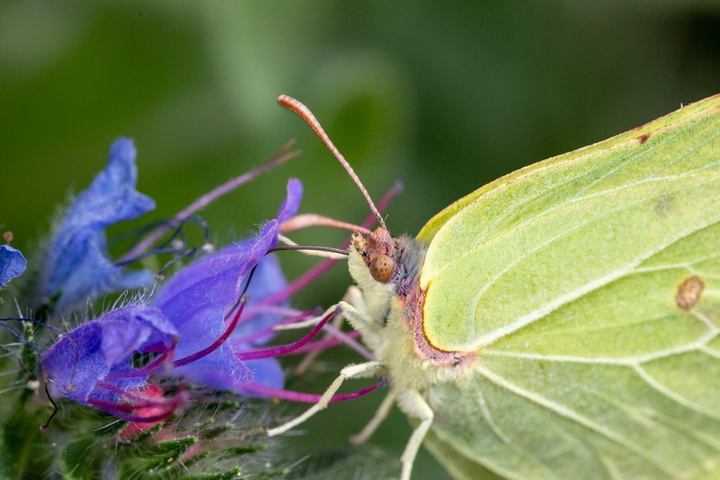 IMG_4497 | ehrlichefotos - Realisiert mit Pictrs.com