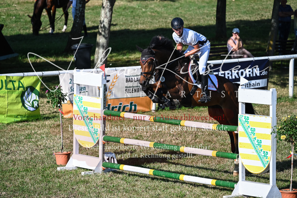 DSC_2531 | Pferde- und Turnierfotografie in Westsachsen. Pferdeportraits, Auftragszeichnungen und intuitive Kunst.