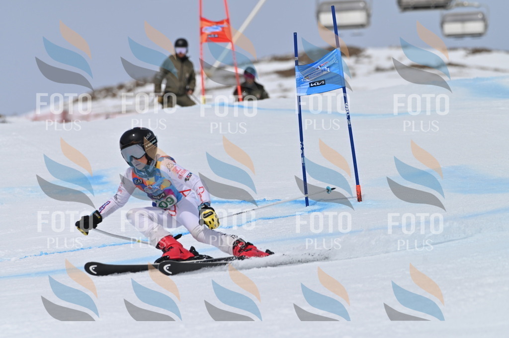 BGV_4045 | holidayphoto