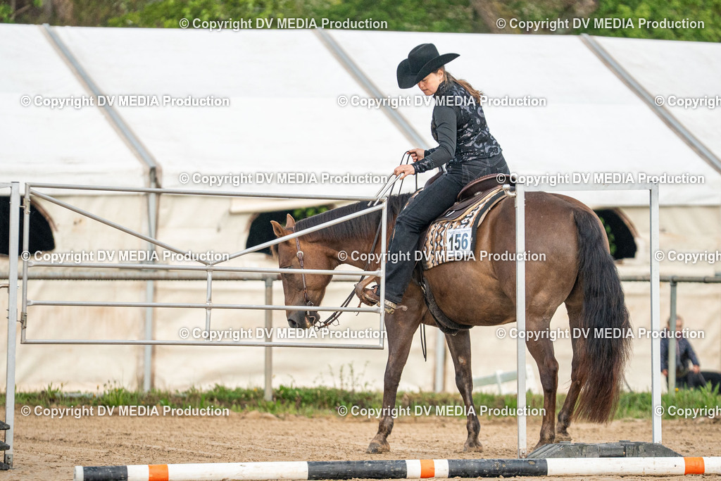 Heiligenwald Tag 1-59 | dv-media-shop - Realisiert mit Pictrs.com