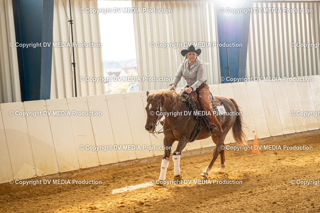 MIT01016 | dv-media-shop - Realisiert mit Pictrs.com