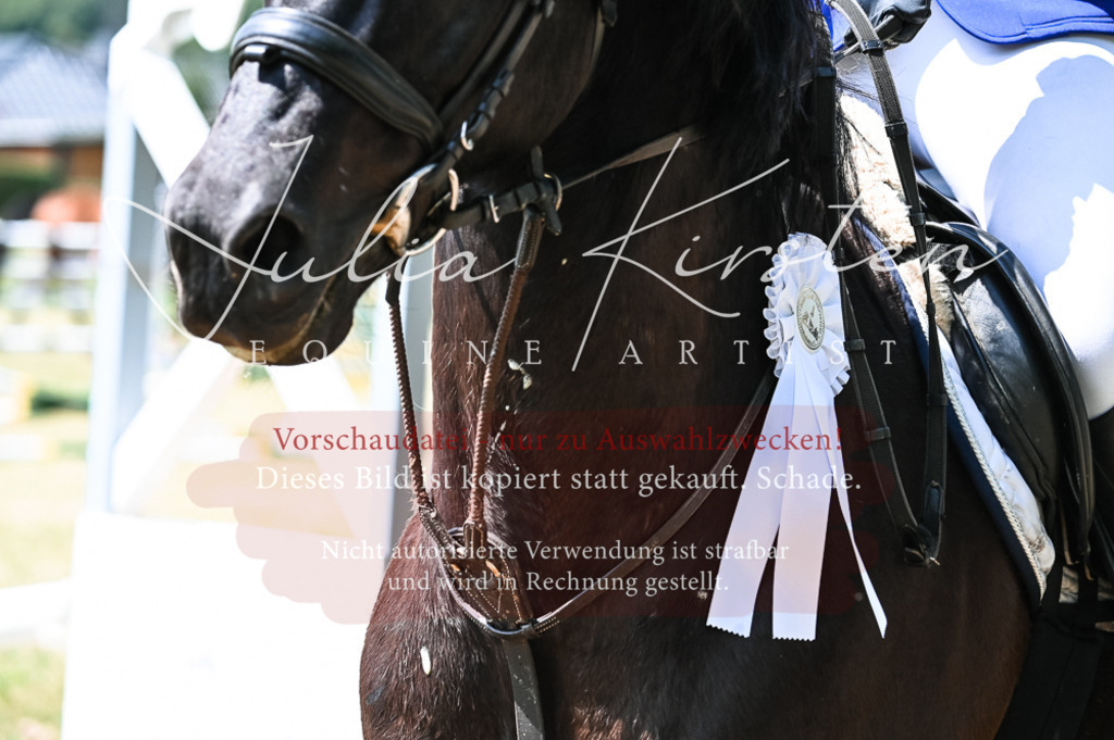 DSC_9525 | Pferde- und Turnierfotografie in Westsachsen. Pferdeportraits, Auftragszeichnungen und intuitive Kunst.