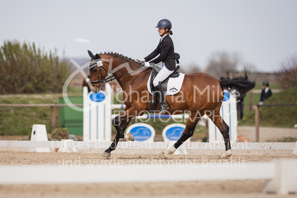 230410_Frühlingsfest_A-Dressur-511 | Deine schönsten Turniermomente als professionelle Fotos! Entdecke hochwertige Pferdesport-Fotografie im Online-Shop. Jetzt Fotos finden & bestellen!