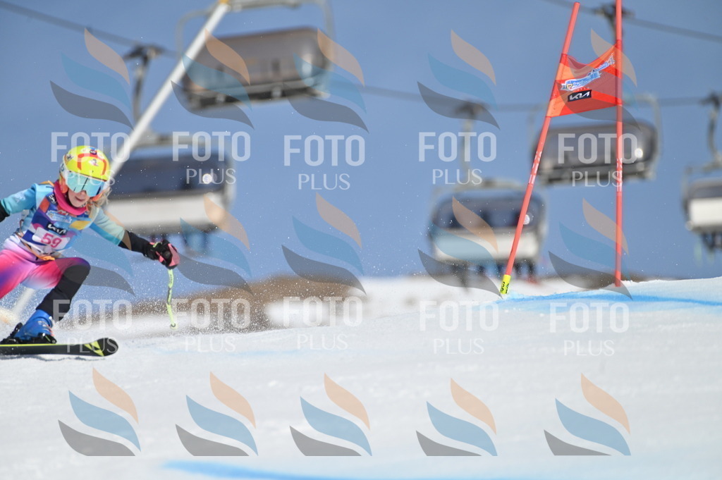 BGV_8702 | holidayphoto