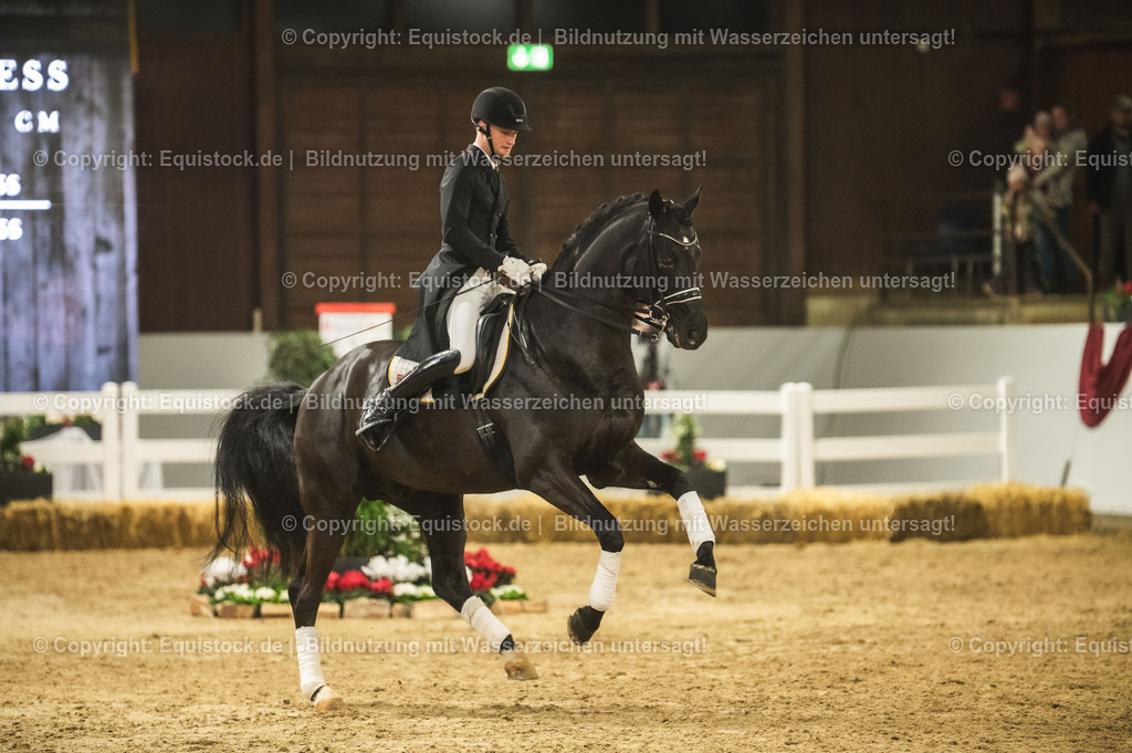 20240302_Hengstvorstellung_Marbach_TOMsPiC_1549 | equistock