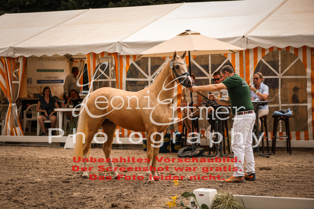 12.So00016 | Leoni Ertmer Photography - Realisiert mit Pictrs.com