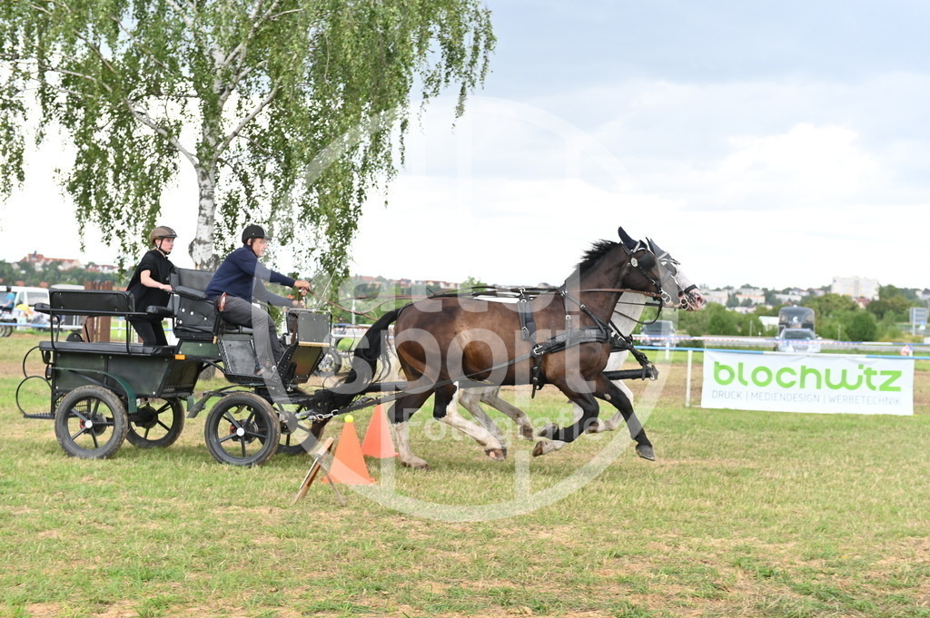 DSC_4464 | sattelsport - Realisiert mit Pictrs.com