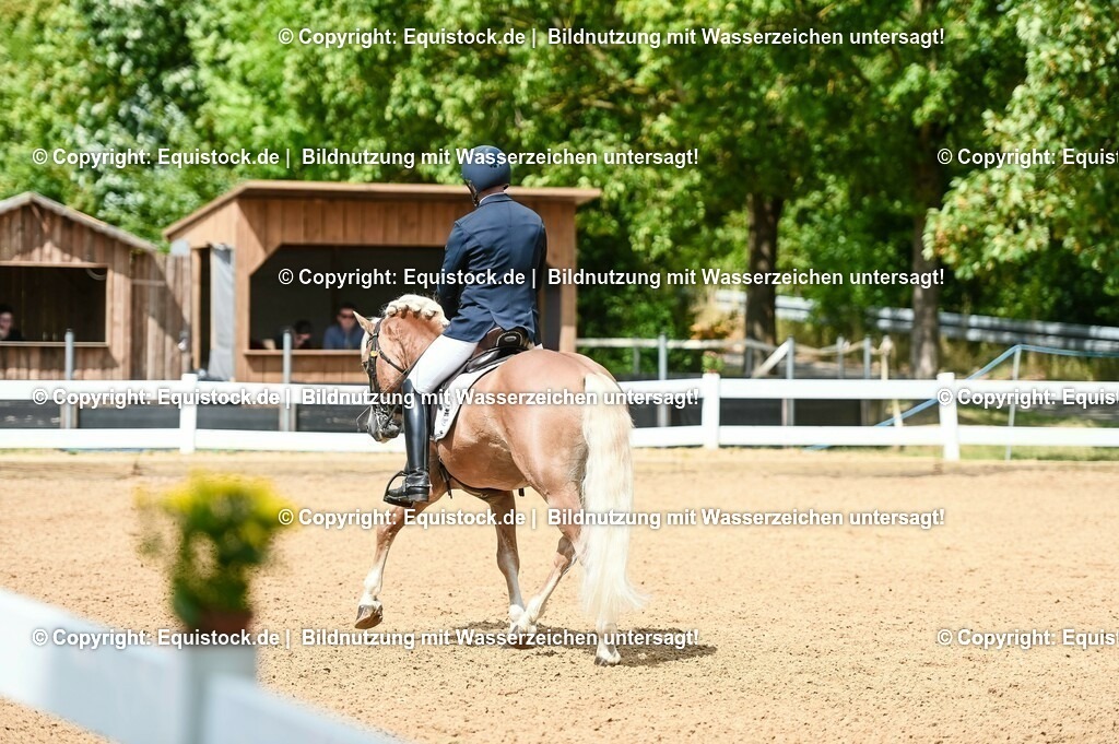 20230716_01_Dressurprüfung Kl.M_0145 | equistock