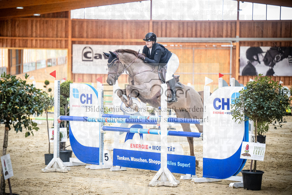 DOS_0741 | Entdecke hochwertige Reitturnierfotos von Foto Oger. Professionell, emotional und authentisch – jetzt Lieblingsmomente im Shop bestellen.Deutschlandweite Turnierfotografie. - Realisiert mit Pictrs.com