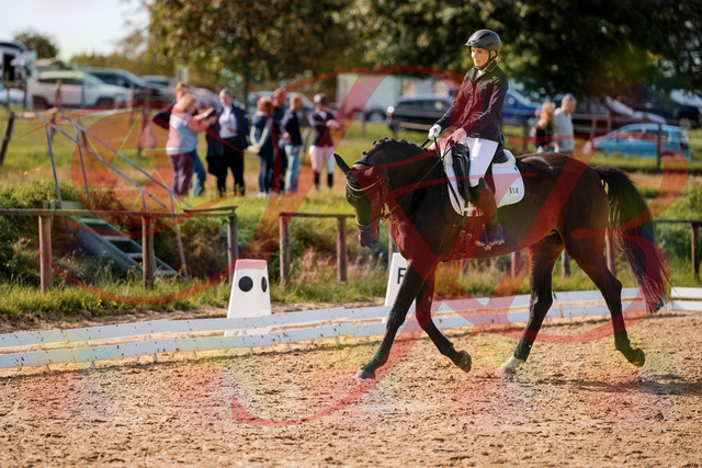 2026_10_03_Siefer-Hof_133642_Z63_97653965 | Professionelle Reitsport-, Turnier- und Eventfotografie von Robert Broda. Galerien mit ausgewählten und bearbeiteten Bildern direkt online ansehen und bestellen.