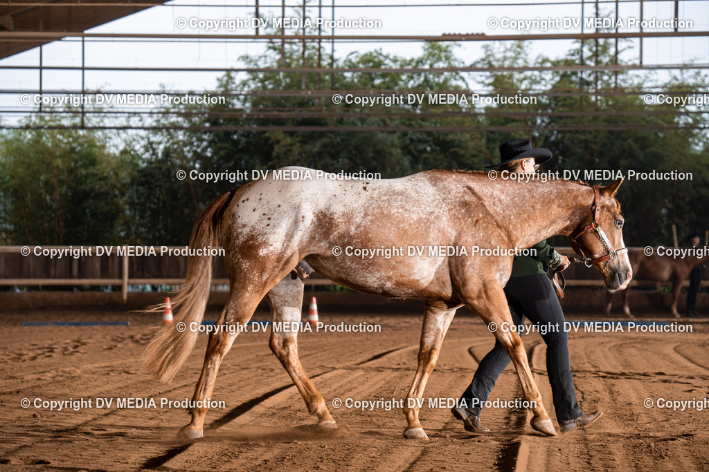 Erbach Tag 2-096 | dv-media-shop - Realisiert mit Pictrs.com