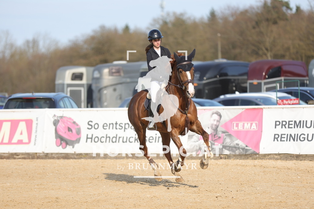 0P6A3054 | Willkommen bei Brunnmayr - Design & Fotografie – Ihrem Spezialisten für Reitturniere und Pferdeveranstaltungen in Oberösterreich, Salzburg und Bayern! Seit über 17 Jahren sind wir leidenschaftlich dabei.