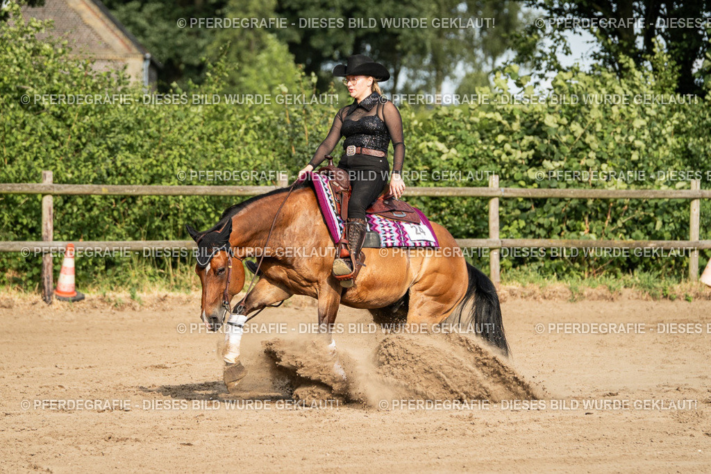 DSC05412 | Pferdegrafie