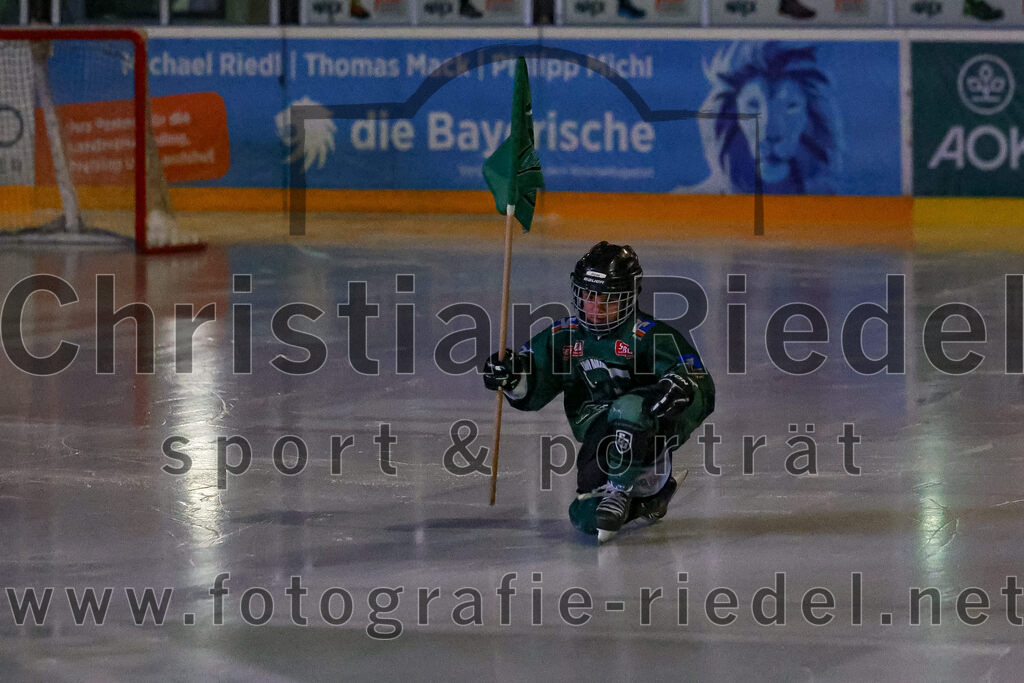 2026-01-18_009_TSV_Erding_gegen_Selber_Woelfe | Erding, Deutschland, 18.01.2026:Eishockey, Oberliga Süd 2025 / 2026, 38. Spieltag, TSV Erding gegen Selber Wölfe, Endergebnis: 2:3 n.V.Foto: Christian Riedel / fotografie-riedel.net