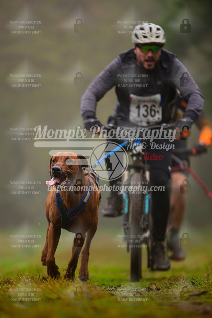 MompixPhotography_Bischwiller2025_Bike-48 | mompixphotography