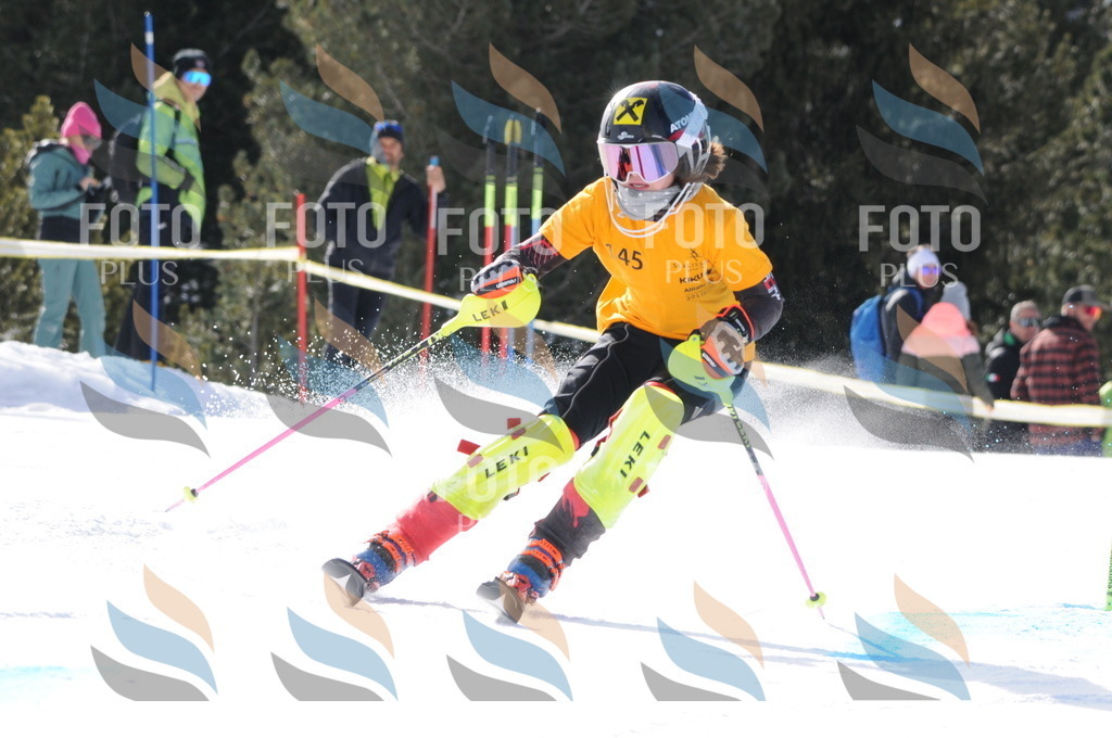 C7275 | holidayphoto