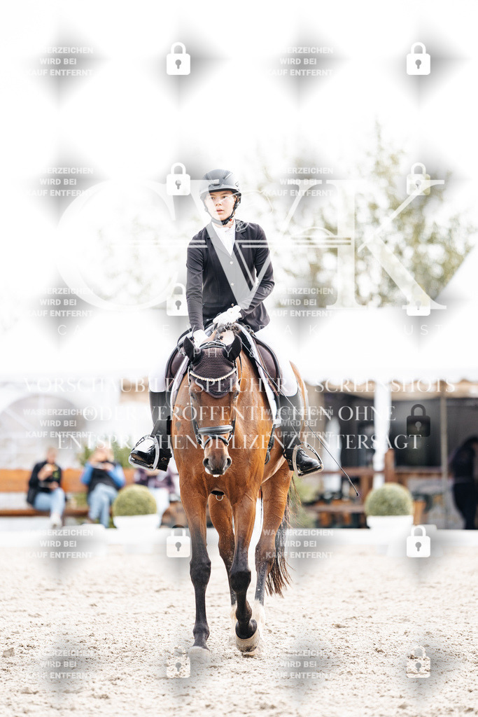 CK901027 | Turnierfotografie Pferdefotografie Trier Rheinland-Pfalz Pferdesport Reitsport Tierfotografie Sportfotografie Pferdevideo Pferdevideografie Equestrianvideography equestrianphotography  - Realisiert mit Pictrs.com