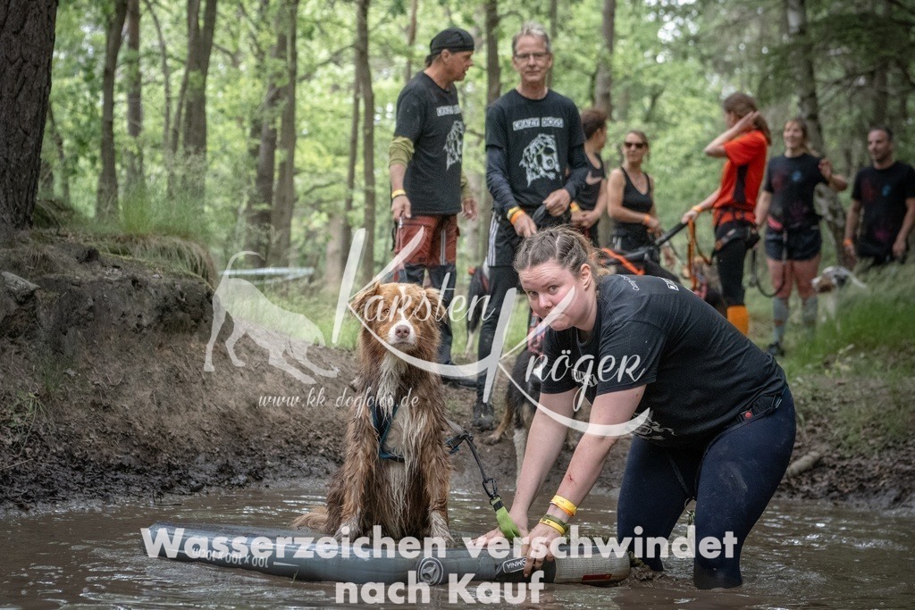 1259_ZZ91838T | kk-dogfotos