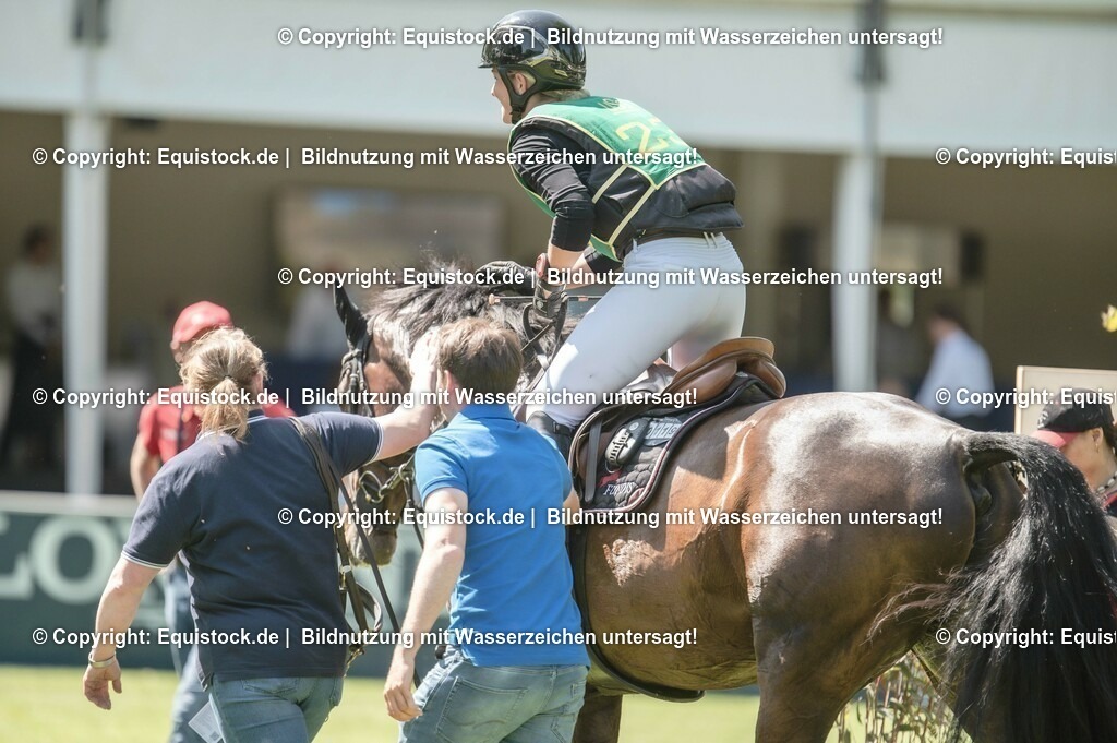 20230527_27_CCI4_Gelände_0394 | equistock