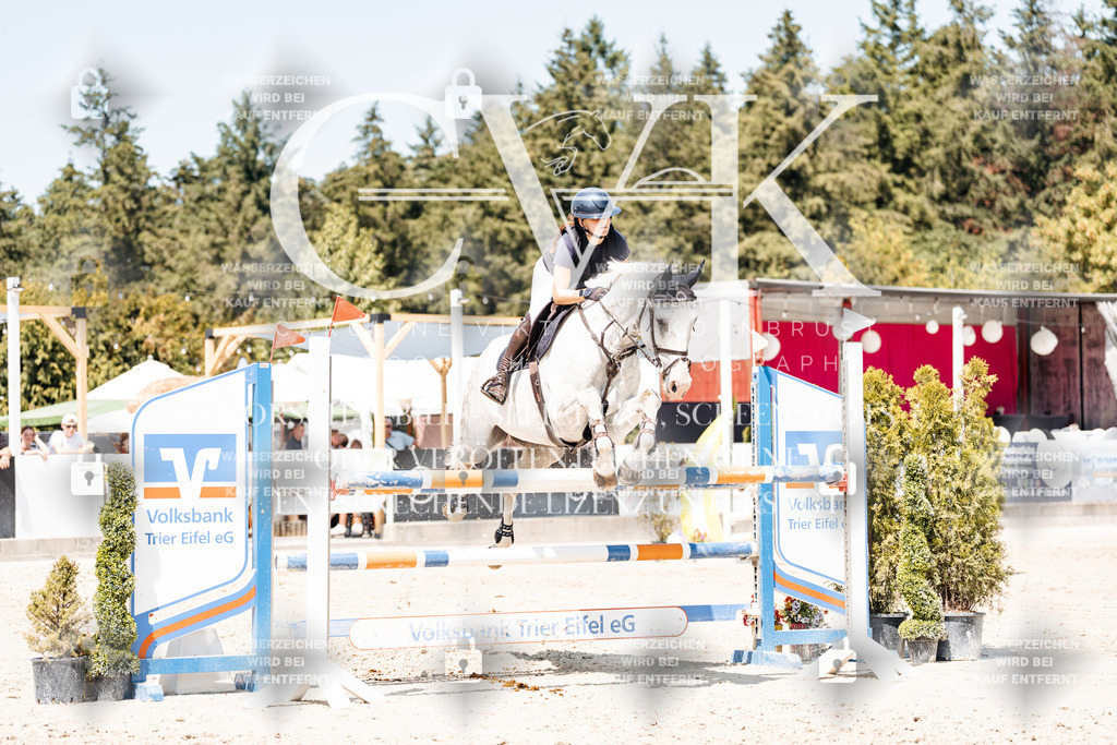 CK900795 | Turnierfotografie Pferdefotografie Trier Rheinland-Pfalz Pferdesport Reitsport Tierfotografie Sportfotografie Pferdevideo Pferdevideografie Equestrianvideography equestrianphotography  - Realisiert mit Pictrs.com