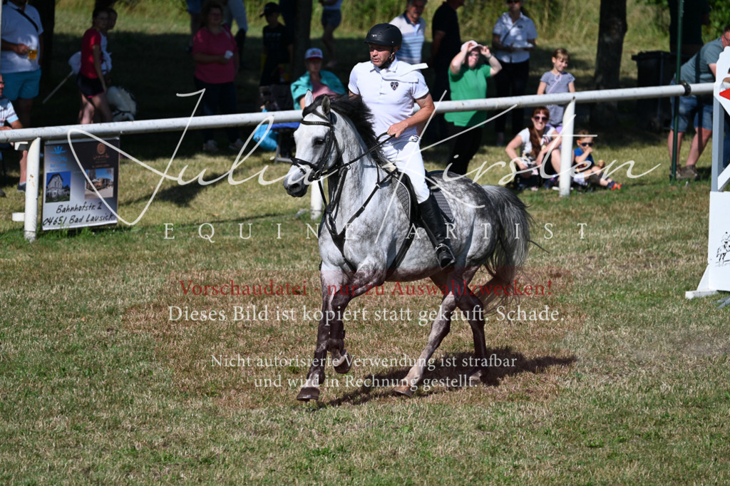 DSC_2248 | Pferde- und Turnierfotografie in Westsachsen. Pferdeportraits, Auftragszeichnungen und intuitive Kunst.