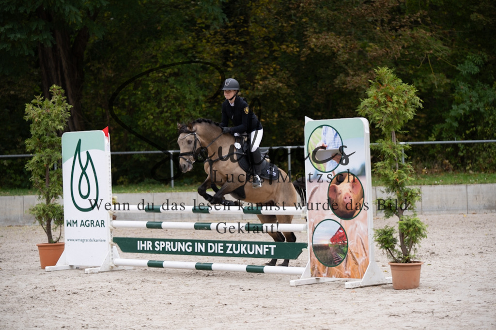 A7V07786 | Pferdefotograf