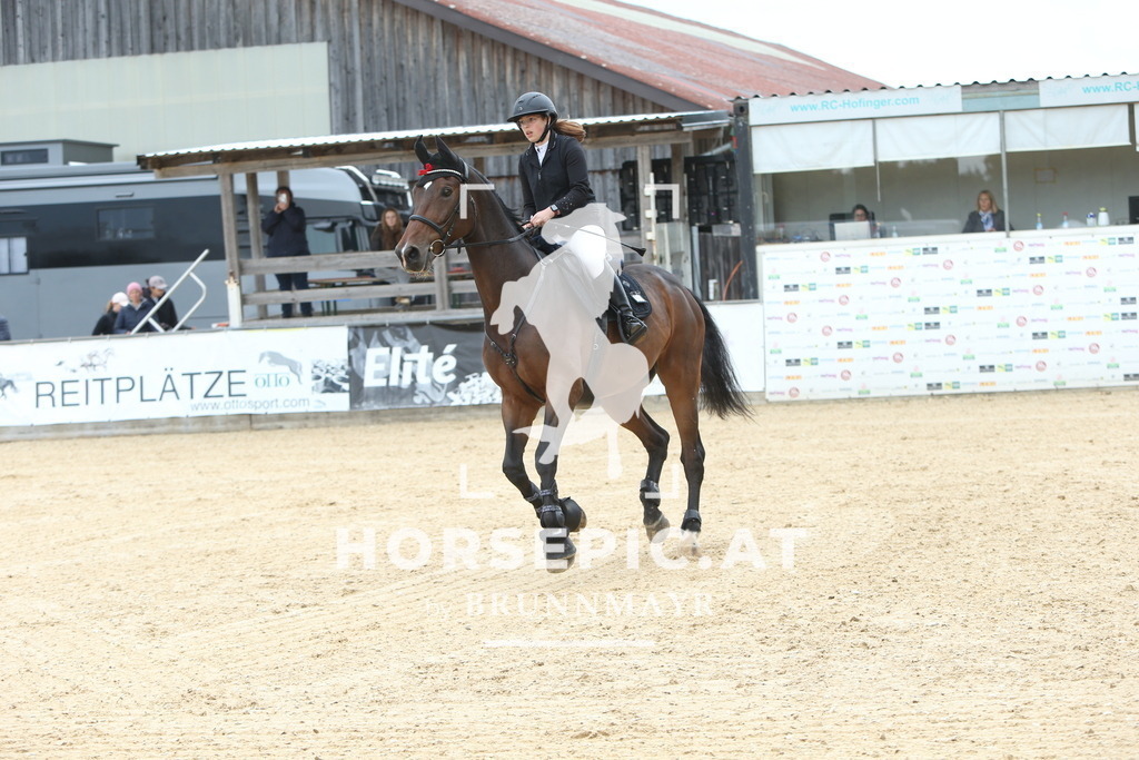 DL2Q1950 | Willkommen bei Brunnmayr - Design & Fotografie – Ihrem Spezialisten für Reitturniere und Pferdeveranstaltungen in Oberösterreich, Salzburg und Bayern! Seit über 17 Jahren sind wir leidenschaftlich dabei.